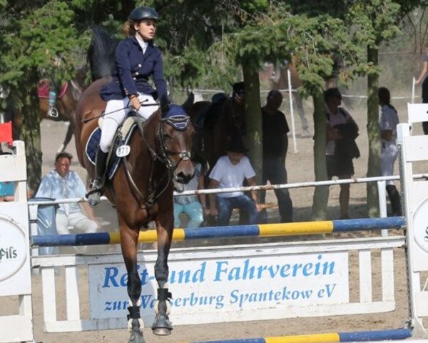 jumper Lumpi 69 (Mecklenburg, 2013, from Lycon 3)