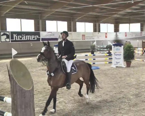 Reitturnier Walldorf 2017