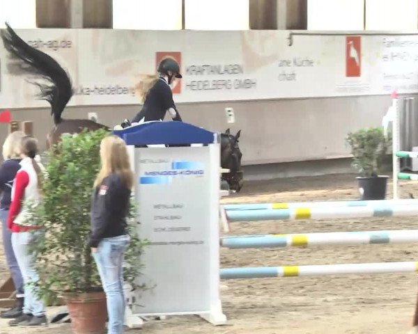 Reitturnier Walldorf 2017