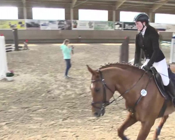 Reitturnier Walldorf 2017