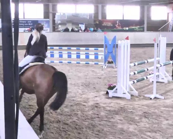 Reitturnier Walldorf 2017