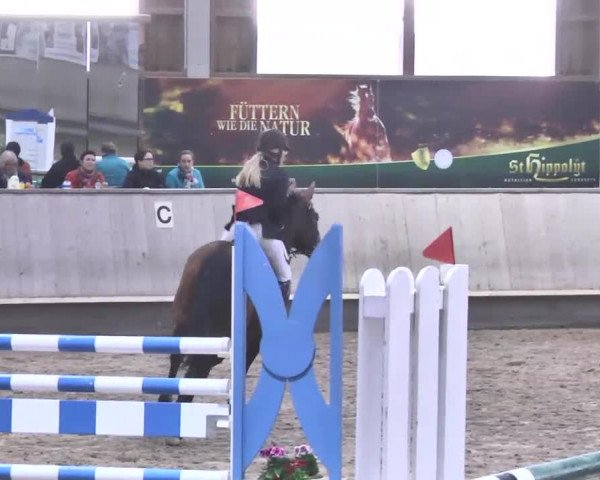 Reitturnier Walldorf 2017