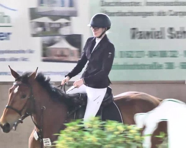 Reitturnier Walldorf 2017