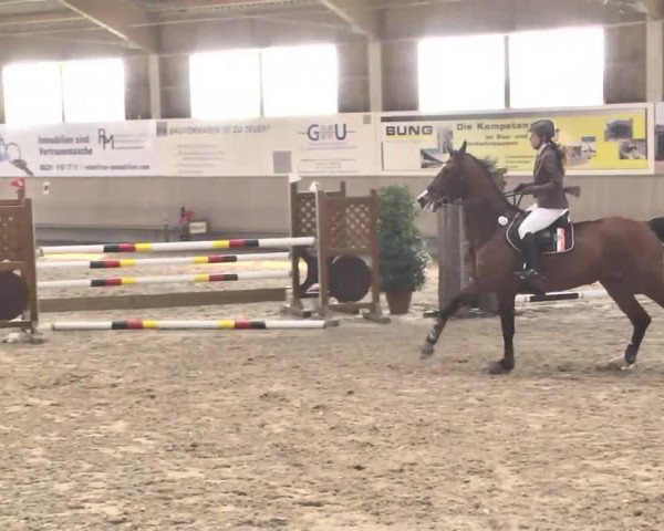 Reitturnier Walldorf 2017