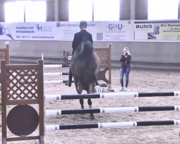 Reitturnier Walldorf 2017