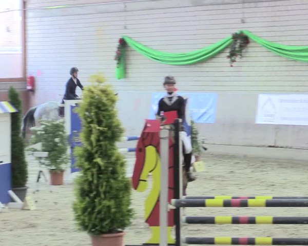 Reitturnier Leverkusen-Rheindorf 2017