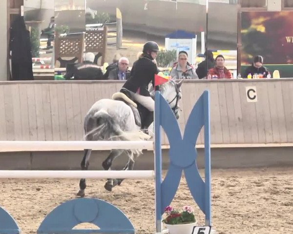Reitturnier Walldorf 2017