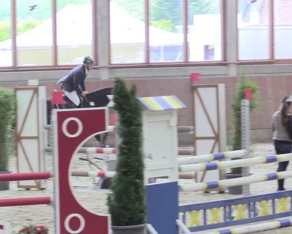 Reitturnier Leverkusen-Rheindorf 2017