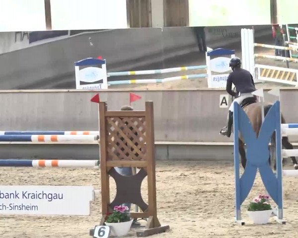 Reitturnier Walldorf 2017