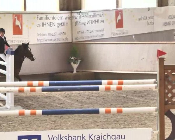 Reitturnier Walldorf 2017
