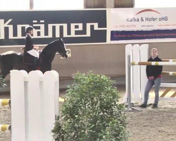 Reitturnier Walldorf 2017