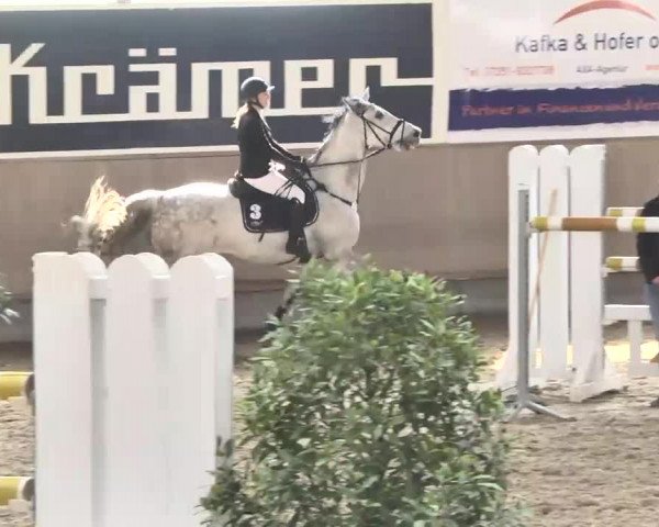 Reitturnier Walldorf 2017