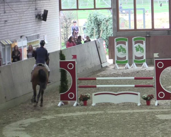 Reitturnier Leverkusen-Rheindorf 2017