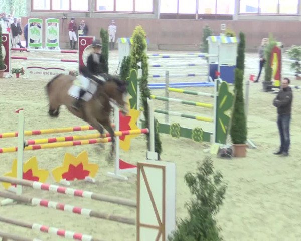 Reitturnier Leverkusen-Rheindorf 2017
