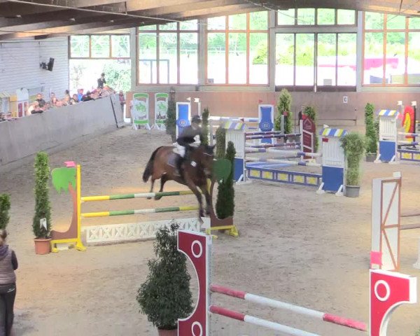 Reitturnier Leverkusen-Rheindorf 2017