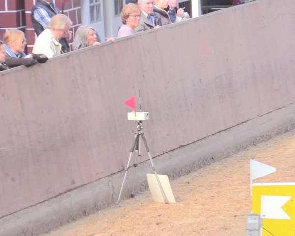 Reitturnier Leverkusen-Rheindorf 2017