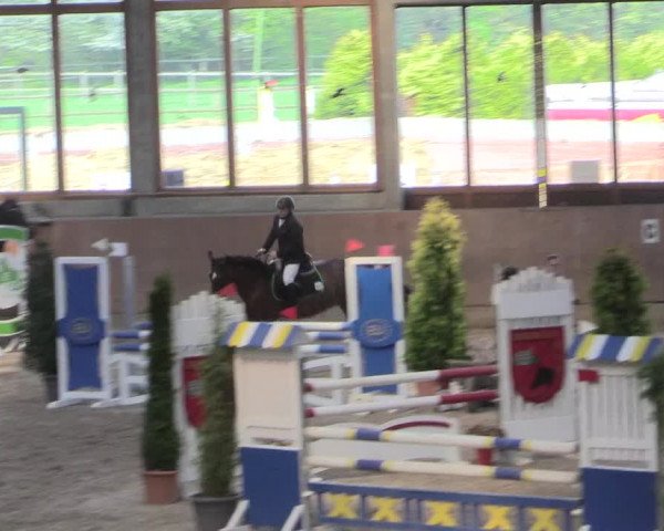 Reitturnier Leverkusen-Rheindorf 2017