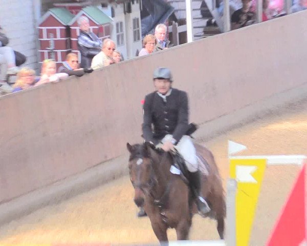 Reitturnier Leverkusen-Rheindorf 2017