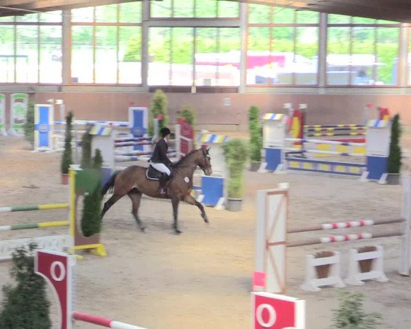 Reitturnier Leverkusen-Rheindorf 2017