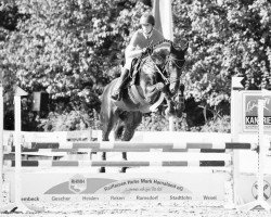 jumper Diabalou (Oldenburg show jumper, 2013, from Diarado)