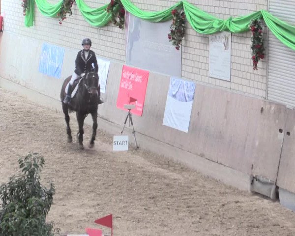 Reitturnier Leverkusen-Rheindorf 2017