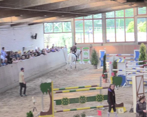 Reitturnier Leverkusen-Rheindorf 2017