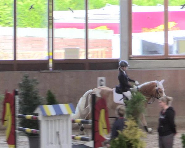Reitturnier Leverkusen-Rheindorf 2017