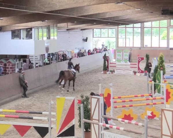 Reitturnier Leverkusen-Rheindorf 2017