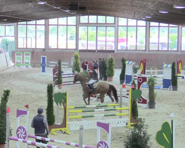 Reitturnier Leverkusen-Rheindorf 2017