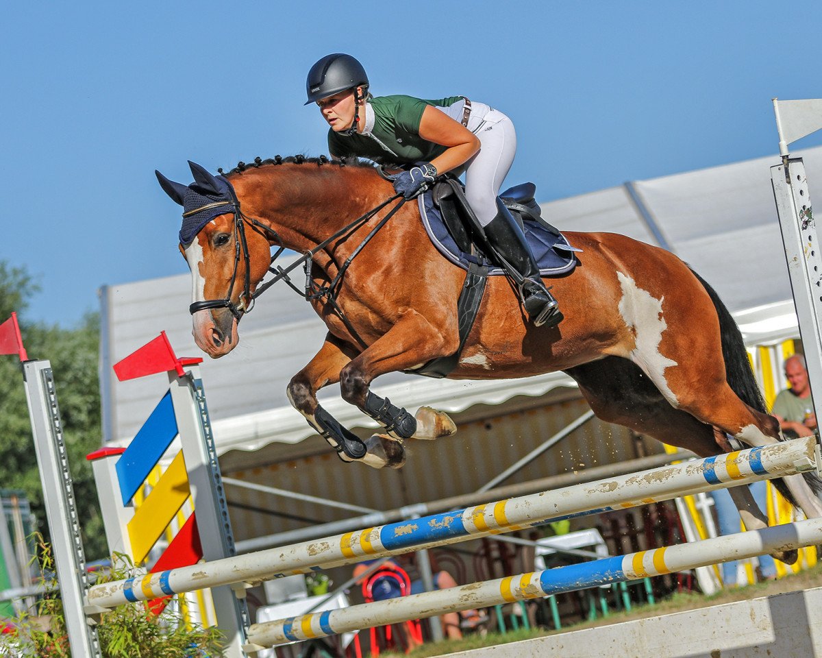 jumper Siehof's Carla (Rhinelander, 2010, from Coronas 2)