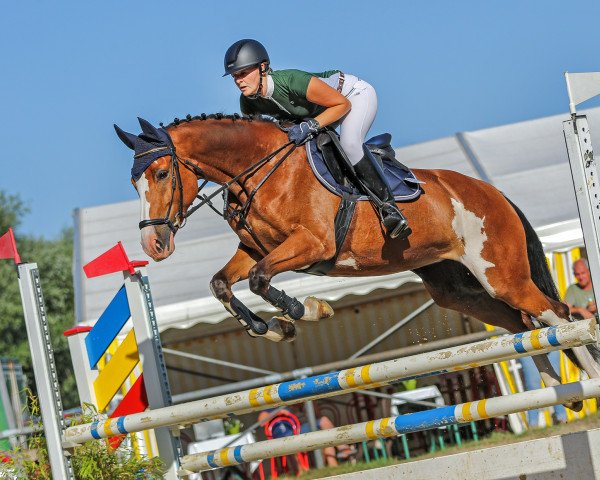 jumper Siehof's Carla (Rhinelander, 2010, from Coronas 2)