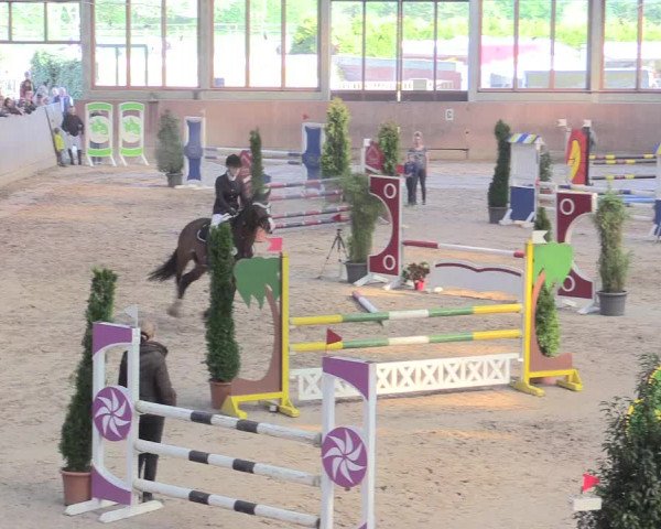 Reitturnier Leverkusen-Rheindorf 2017