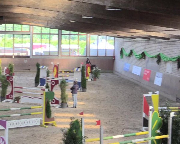 Reitturnier Leverkusen-Rheindorf 2017