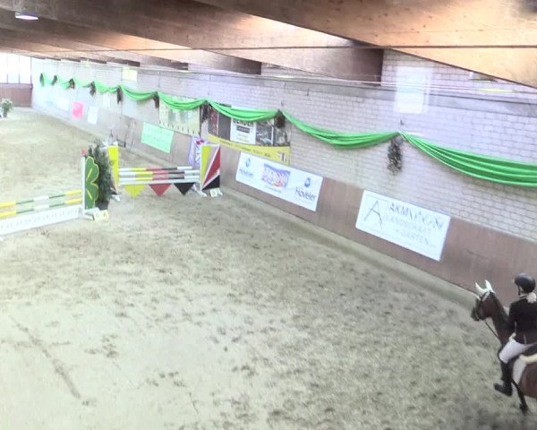 Reitturnier Leverkusen-Rheindorf 2017