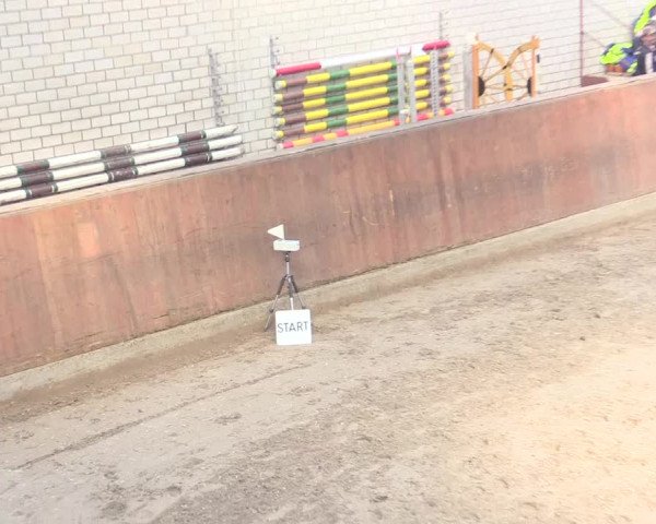 Reitturnier Leverkusen-Rheindorf 2017