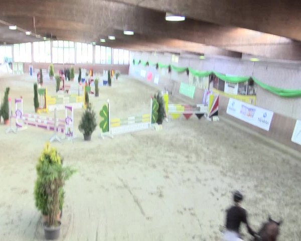 Reitturnier Leverkusen-Rheindorf 2017