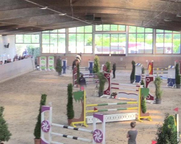Reitturnier Leverkusen-Rheindorf 2017