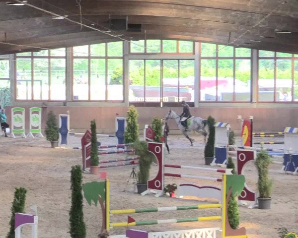 Reitturnier Leverkusen-Rheindorf 2017