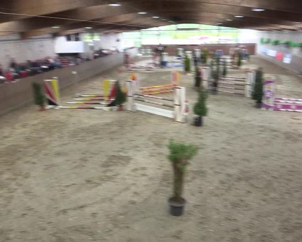 Reitturnier Leverkusen-Rheindorf 2017