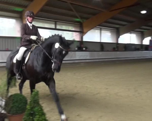 Reitturnier Lindlar-Süttenbach 2017