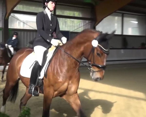 Reitturnier Lindlar-Süttenbach 2017