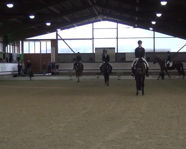 Reitturnier Lindlar-Süttenbach 2017