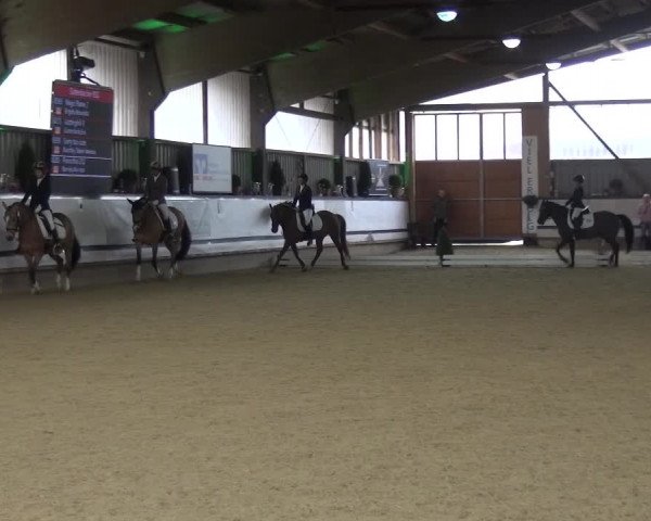 Reitturnier Lindlar-Süttenbach 2017