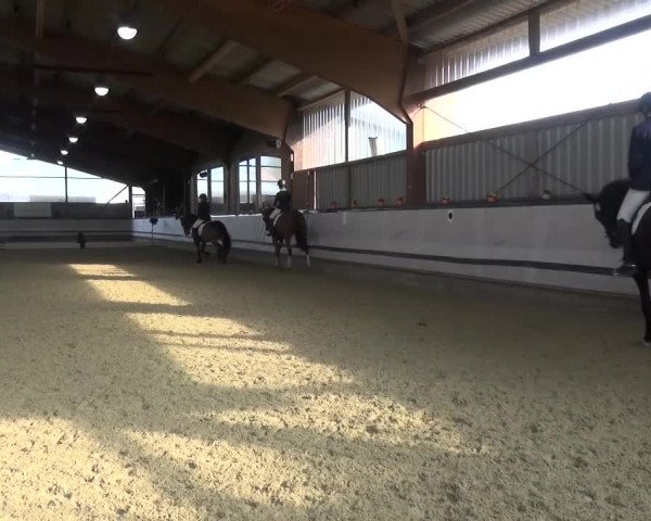 Reitturnier Lindlar-Süttenbach 2017