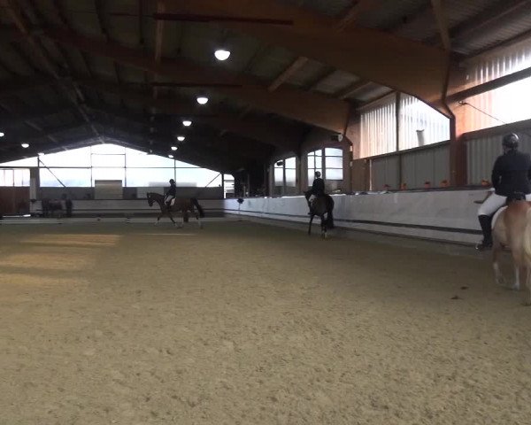 Reitturnier Lindlar-Süttenbach 2017