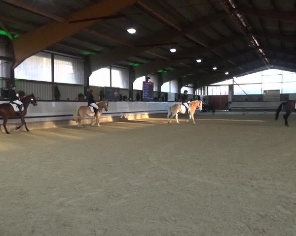 Reitturnier Lindlar-Süttenbach 2017