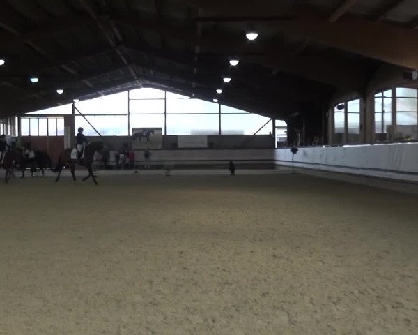 Reitturnier Lindlar-Süttenbach 2017