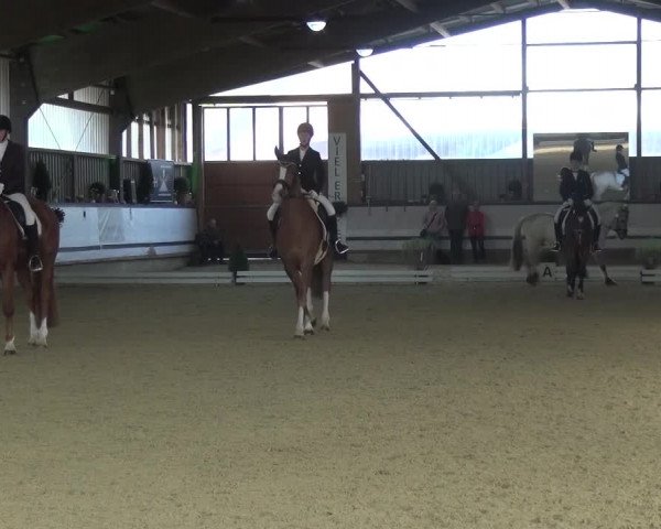 Reitturnier Lindlar-Süttenbach 2017