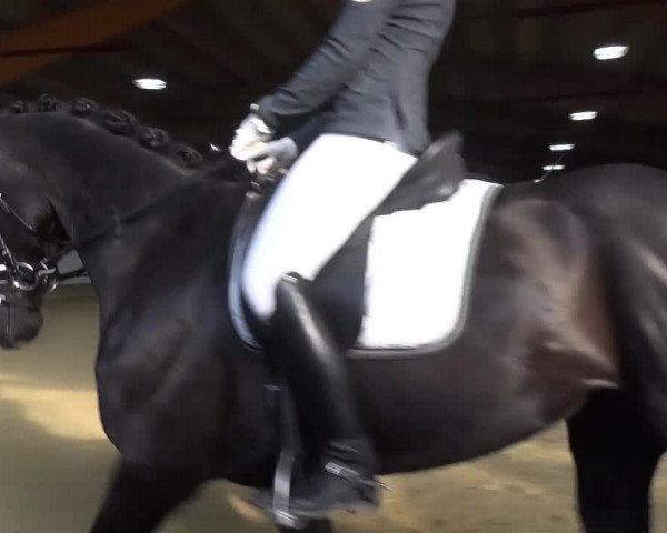 Reitturnier Lindlar-Süttenbach 2017