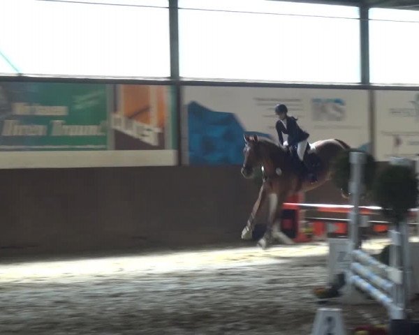 Reitturnier Jüchen-Waat 2017